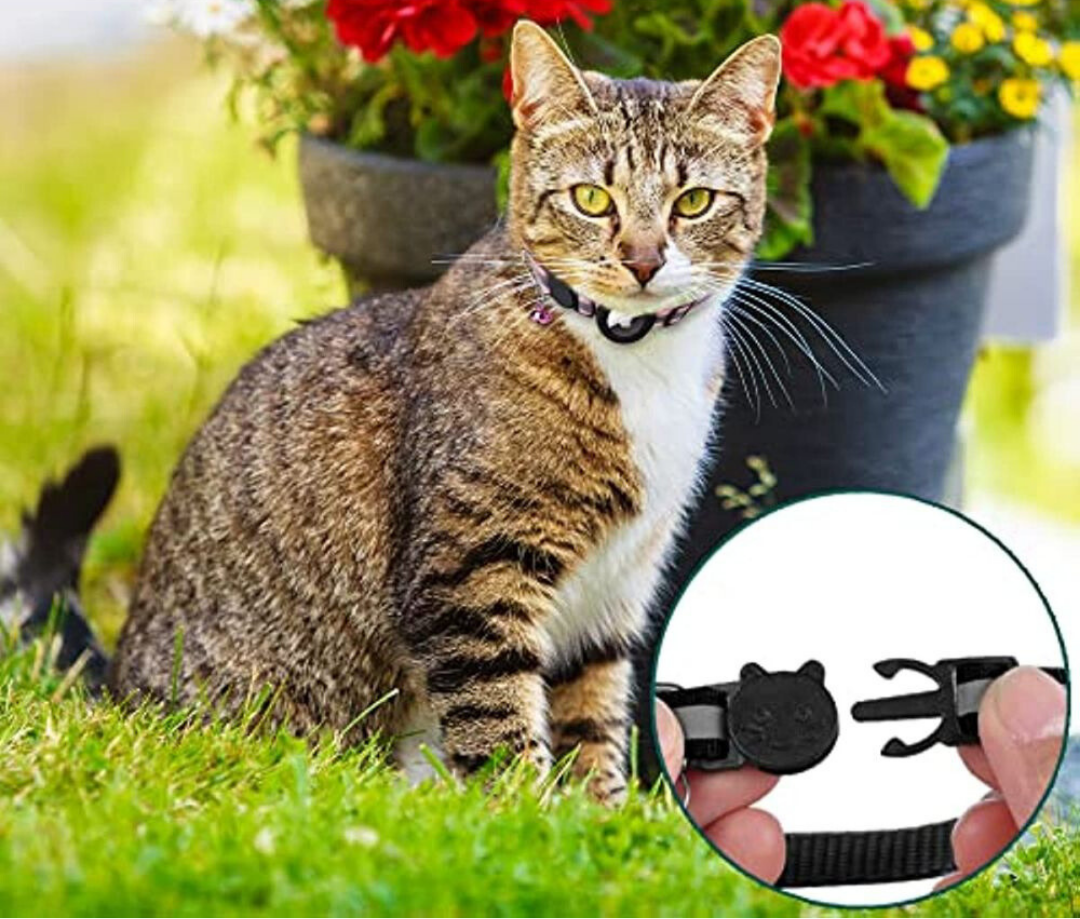 GPS tracker collar for cats | Quick release, reflective design and durable for safe outdoor adventures