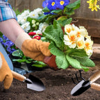 3Pcs Mini Indoor Planting Tools Set