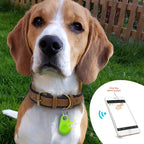 Pet GPS tag - PawFinder