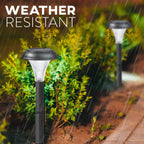 Garden Solar Lights for Outdoor Pathway