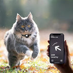 CAT GPS tracker collar with quick-release fastener and reflective design for improved night visibility