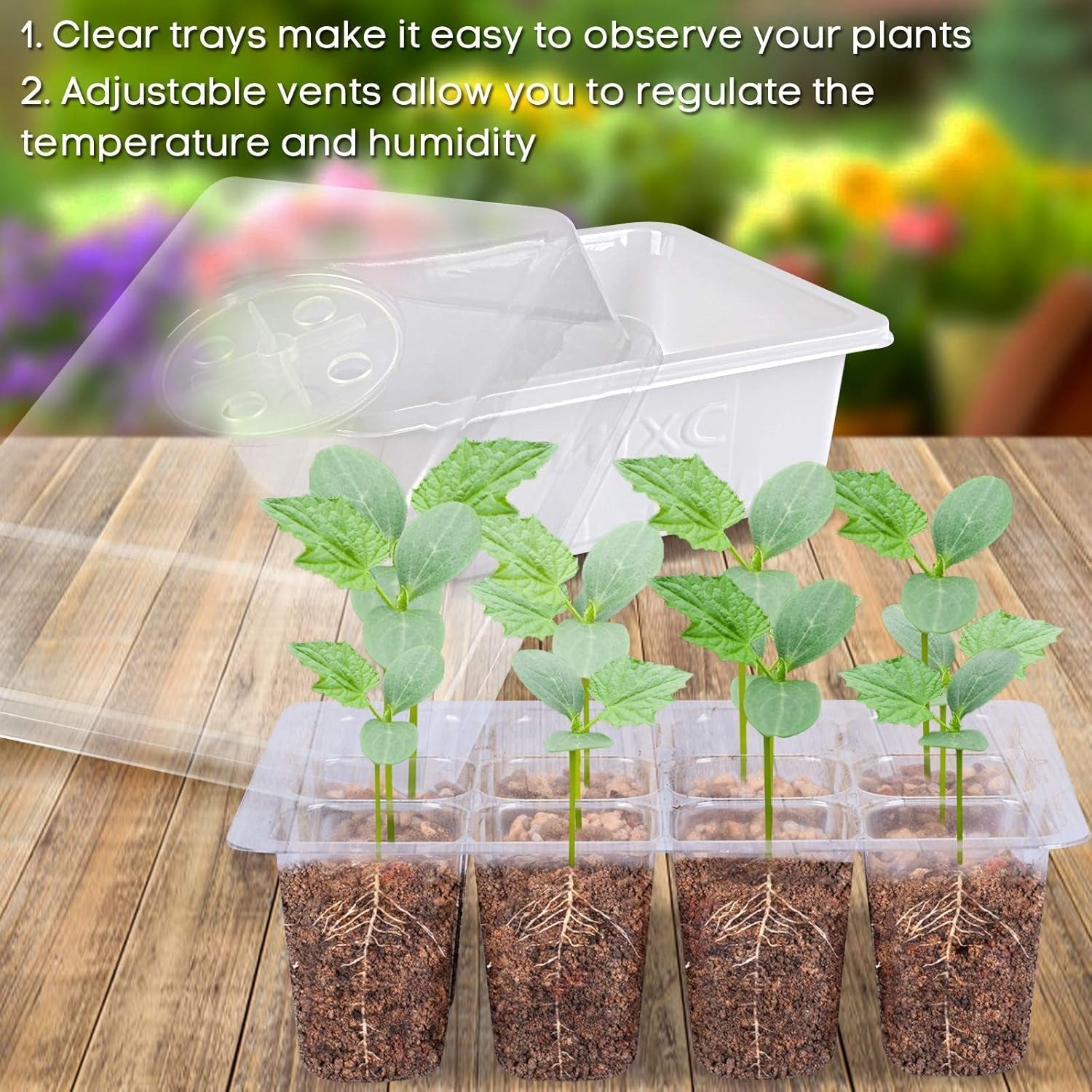 Seed Starter Kit with Humidity Dome