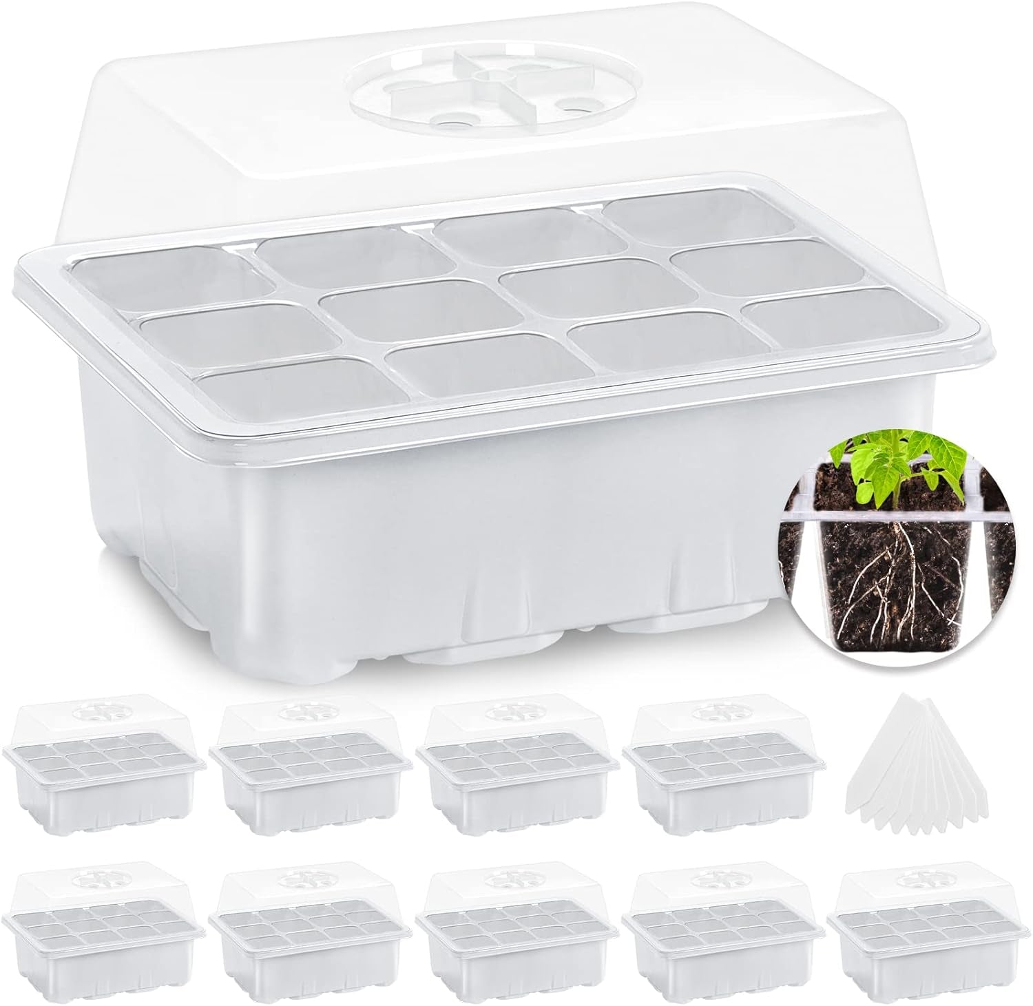 Seed Starter Kit with Humidity Dome