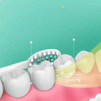 Sonic Electric Toothbrush | Ultrasonic Technology With 4 Brush Heads