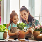 3Pcs Mini Indoor Planting Tools Set