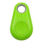 Pet GPS tag - PawFinder