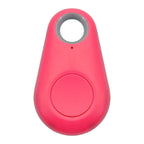 Pet GPS tag - PawFinder
