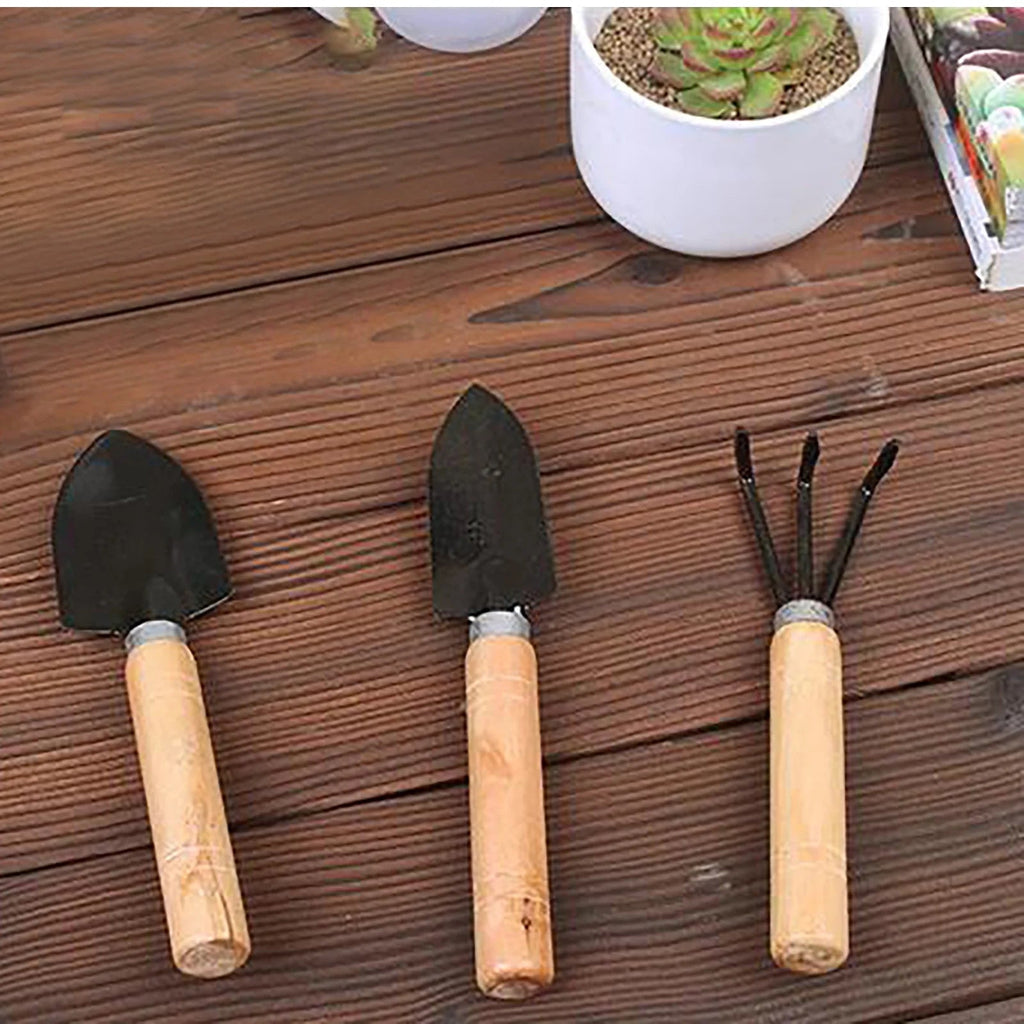 3Pcs Mini Indoor Planting Tools Set