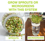 Growing Kit & Green Onion Regrower