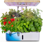 Hydroponics Growing System Kit
