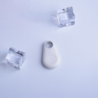 Pet GPS tag - PawFinder