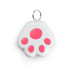 Pet GPS tag - PawFinder